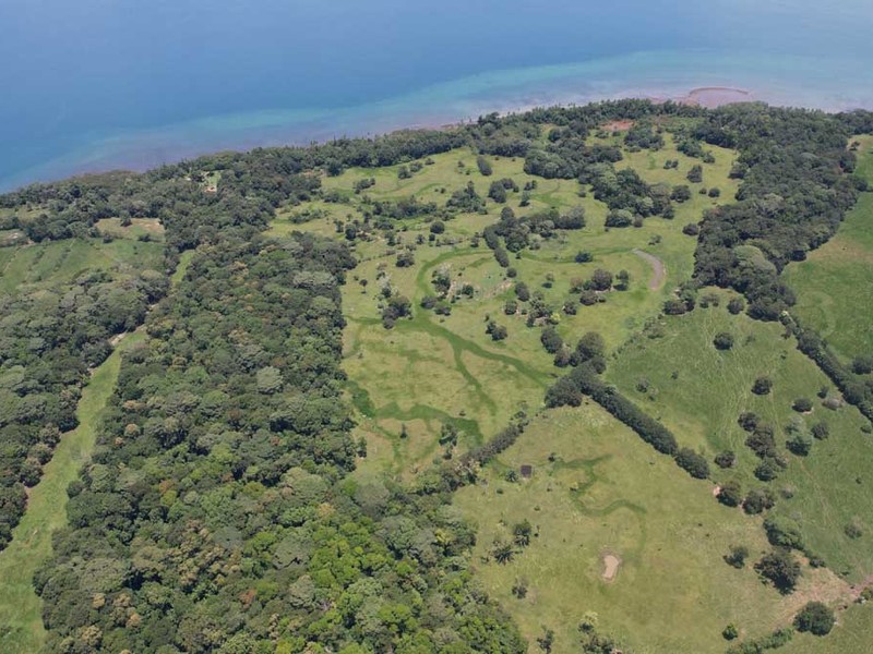 0 bed Lot/Land For Sale in Osa Peninsula,  - 1